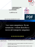 Copia de Capítulo 21. Vasos Sanguineos Y Hemodinamia. 2021