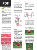 The Musculoskeletal System: 1. Movement