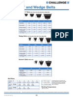 Challenge V and Wedge Belts