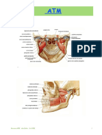 Resumen ATM PDF