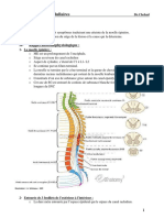 Cours de Neurologie 4eme Ann&eacute e - 3