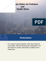 Particulate Matter Air Pollution and Health Risks