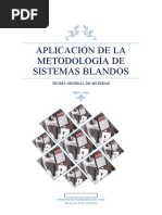 Metodología de Sistemas Blandos