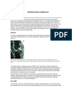 Anterior Cruciate Ligament