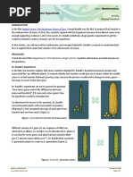 The Teosinte Hypothesis: Popped Secret: The Mysterious Origin of Corn