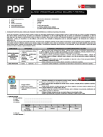 1ro Programacion Anual Arte y Cultura