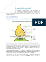 Informe Del Sistema Nervioso