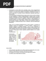 Ciclo Endometrial