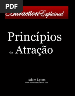 Adam Lyons - Principíos Da Atração