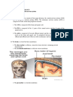 Anatomy and Physiology Structure and Function of The Nervous System I. Structures