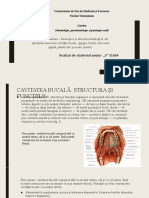 Structura Mucoasei Leucoplazia