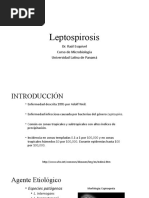 Leptospirosis