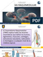 Trauma Raquimedular