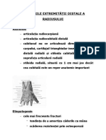 Curs 07 Radiusul Distal