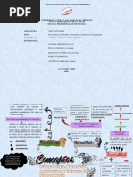 Psicopatologia Organizador 2