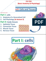 نسخة CLS224-Lecture 2