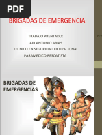 Que Es Una Brigada