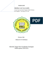 Makalah MIdwifery Led Care (S1 Kebidanan Tingkat 1)