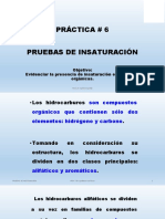 Pruebas de Insaturacion