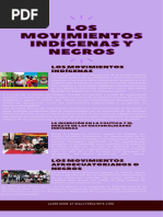 Los Movimientos Indigenas y Negros