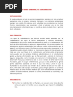 El Medio Ambiente y La Contaminación