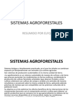 Clase 13. Sistemas Agroforestales