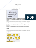 Soal Biologi Divan V