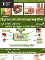 CN9 - Sistema - Digestivo - JC MORAIS