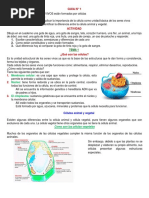 Guia 1 Ciencias Naturales