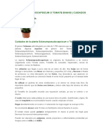 Plantas 56