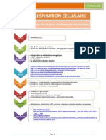 Traam Respiration Cellulaire Terminale ST2S