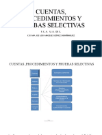 Tema-5 Cuentas, Procedimientos y Pruebas Selectivas