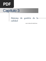 Capitulo 3 Sistemas de Gestion de La Calidad