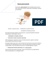 Hipofiza (Glanda Pituitară) : Glanda Hipofiză Se Mai Numeşte Şi Glanda Pituitară. Este Localizată În Şaua Turcească A