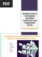 Morphological Difference Between Deciduous and Permanent Teeth