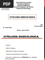 Citologiarotacion 150805015413 Lva1 App6891