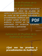 Aplicacion de Pruebas de La Auditoria de Gestion