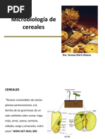 Microbiologia de Los Cereales