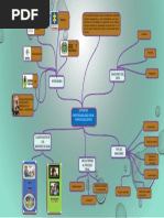 Mapa Mental Sistema Responsabilidad Penal para Adolescentes