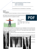 SD Osteoartromuscular