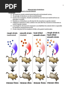 Molecular Basis-WPS Office