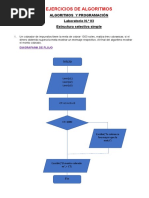 Algoritmoejercicio Original