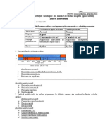 Absent Prezent Rapid Lent Constant 80-90 MV Variabil 60 MV: Lucru Individual