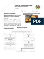 Guia Biologia Grado 8 Tercera Entrega