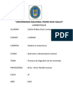 Proceso de Digestion de Los Animales