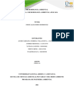 Trabajo - Grupal - Bases para La Microbiología Ambiental Aplicada