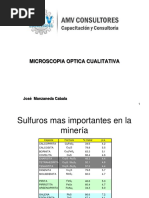 B Microscopia Cualitativa Amv 2020 J Manzaneda