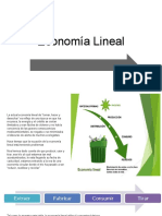 Economia Lineal