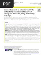 Are Our Babies Off To A Healthy Start? The State of Implementation of The Global Strategy For Infant and Young Child Feeding in Europe