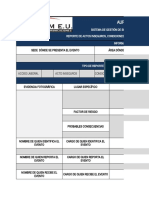 Formato Reporte de Actos Inseguros